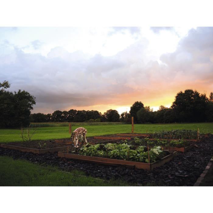Jet d’eau répulsif pour animaux