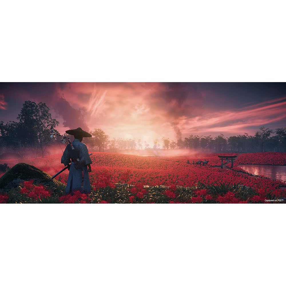 Ghost of Tsushima Director's Cut (North America) - PS5