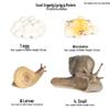Ocean Crab Simulation Toy Set: Includes Hermit, Swimming, and Three-Spot Plastic Models