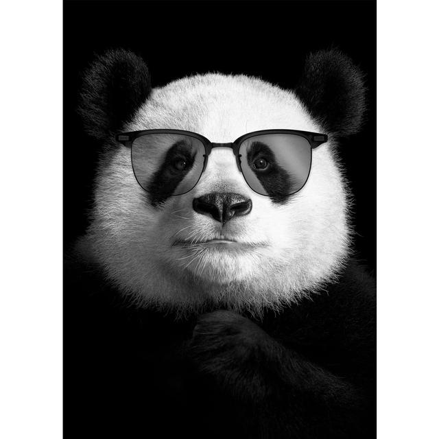 Interesting Panda Bubble Blowing and Sunglasses Canvas Poster Prints on the Wall Living Room Pop Art Home