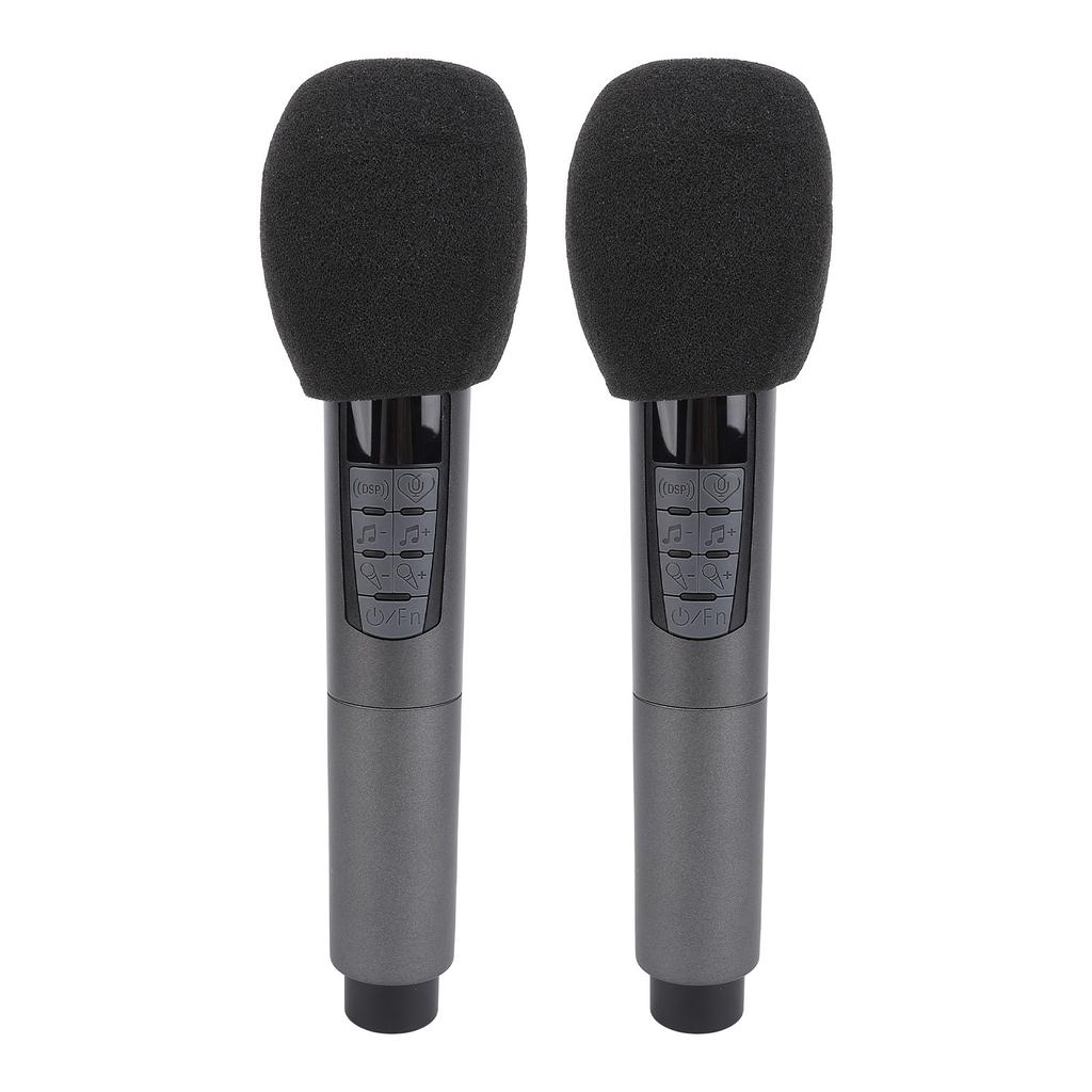 Drahtlose Dynamische Mikrofon mit 2,4G Empfänger 10 Kanäle Anti Störungen Bluetooth Wireless Zwei