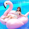 Unicorn & Flamingo Inflatable Swim Rings with Water Gun for Adults & Kids