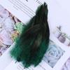 50pcs/pack Black Rooster Feathers Dyed Colorful Natural Pheasant Plumes 15-20cm/6-8 inch Costume Party Decor feathers for Craft