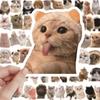 60 Internet Celebrity Cat Stickers: Cute Funny Expressions for Notebooks and Decor.
