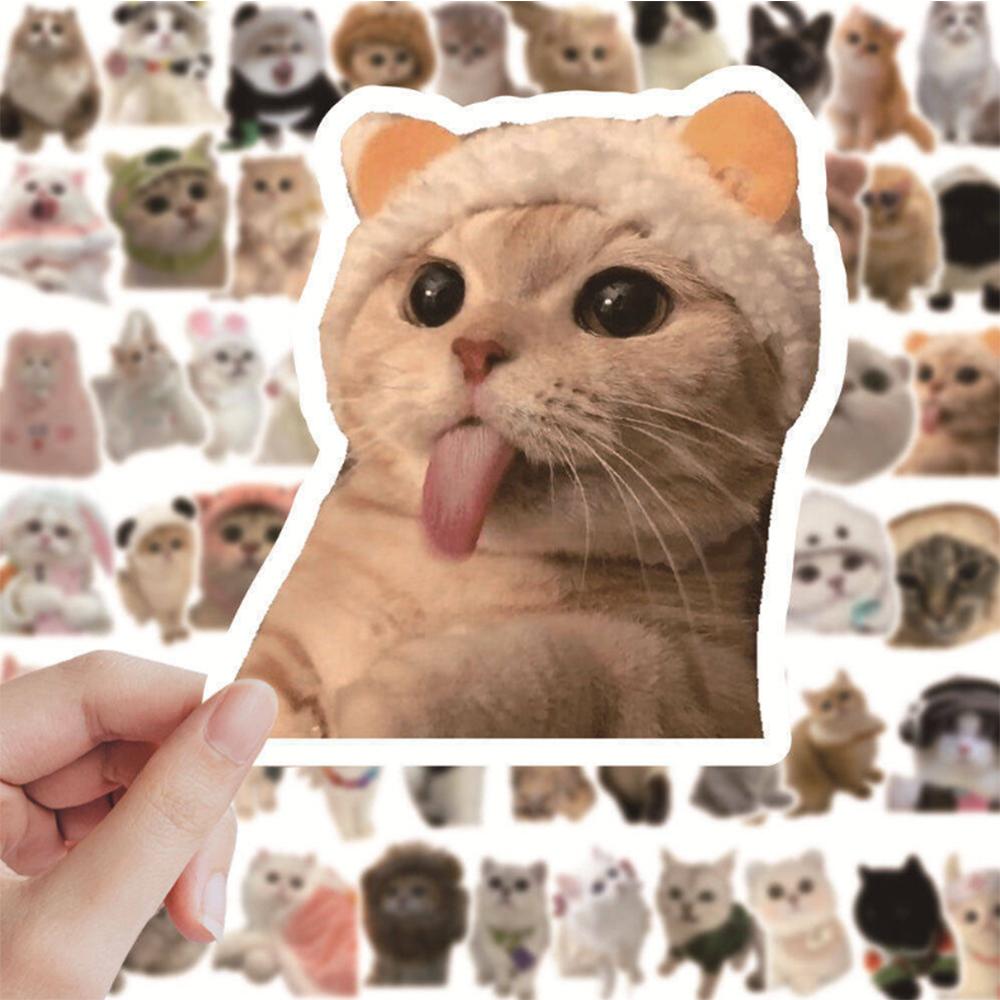 60 Internet Celebrity Cat Stickers: Cute Funny Expressions for Notebooks and Decor.