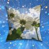 Daisy Flowers Pillow for Sofa Seat Chair DecorativeModern Home Decor Print Throw Cushion