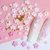 Five Petal Flower Nail Art Jewelry 6-compartment Box Size Mixed Resin Flower