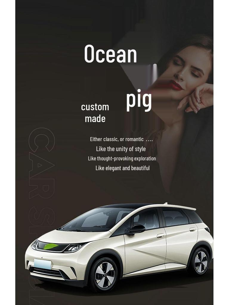 BYD Dolphin All-Season Leather Seat Covers - Full Surround Universal Fit