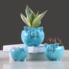 Simple Nordic Cartoon Animal Succulent Flower Pot Ceramic, Creative Gardening Water Flower Potter Home Decoration Ornament
