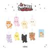 Pre-order ANITEEZ IN THE CALLING PVC Luggage Tag