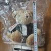 [USED] Direct Store Exclusive AVIREX Avirex Stuffed Toy Teddy Bear