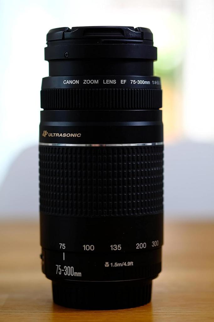 Canon EF III Telephoto Zoom Black 75-300mm f/4-5.6 Lens,