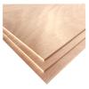 Construction Plywood Board