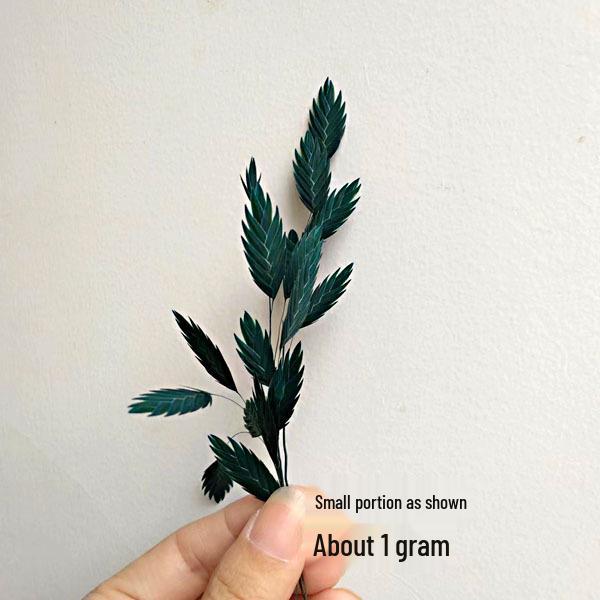 Blue Series Dried Flower DIY Kit: Hydrangea, Thousand-Layer Gold, Eucalyptus Leaf Souvenir Decoration