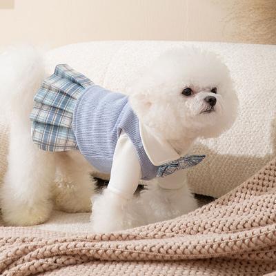 Autumn and Winter Puppy Dog Korean College Style Couple Suit Teddy Bear Four-legged Cat Skirt Pet Clothes