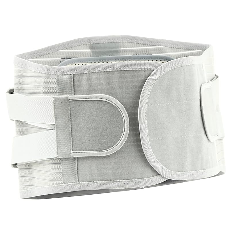 

[Thinking from a chiropractor s perspective] waist supporter posture corset double pressurization mesh Standing work desk work unisex (gray, L)