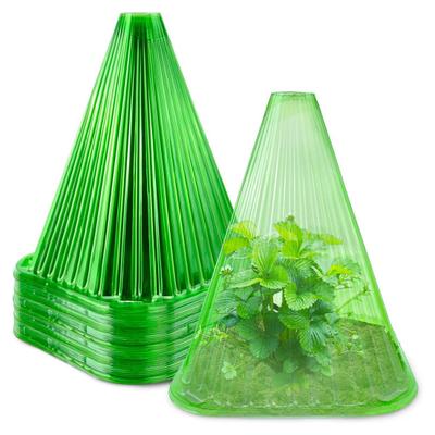 10/20Pcs Anlage Cloches Transparent Garten Cloches PET Kunststoff Mehrweg Kindergarten Abdeckung Anlage