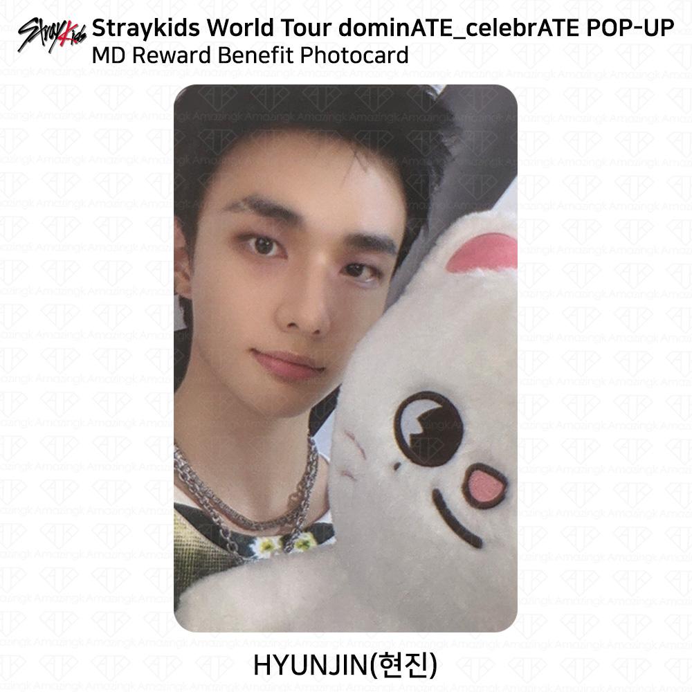 Stray Kids World Tour DominATE CelebrATE POP-UP MD Reward Benefit Photocard KPOP