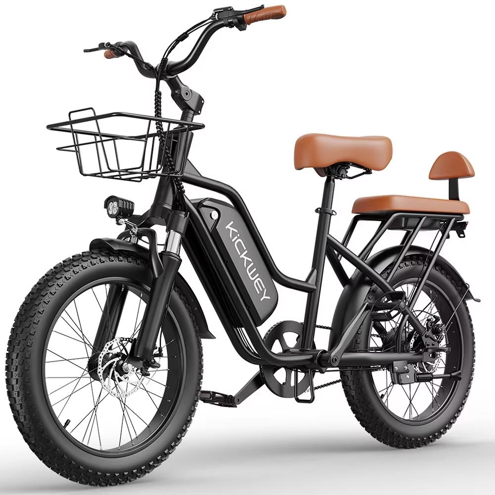 LD20 dospělé horské elektrokolo 750W motor Ebike 48V20Ah baterie městské elektrokolo 20 palců celoplošná pneumatika elektrokolo