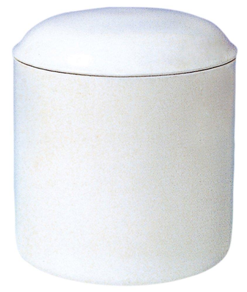 Second Life SK Urn, White, Regular Size, 01010, 5 Inches