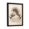 James Brown Godfather Framed Poster