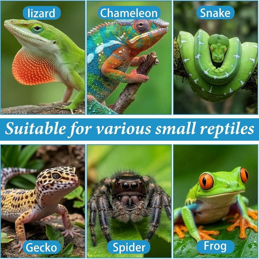 6pcs Silicone Feeding Dish Reusable Gecko Feeding Cups BPA Free Small Reptile Bowl  Pet Supplies