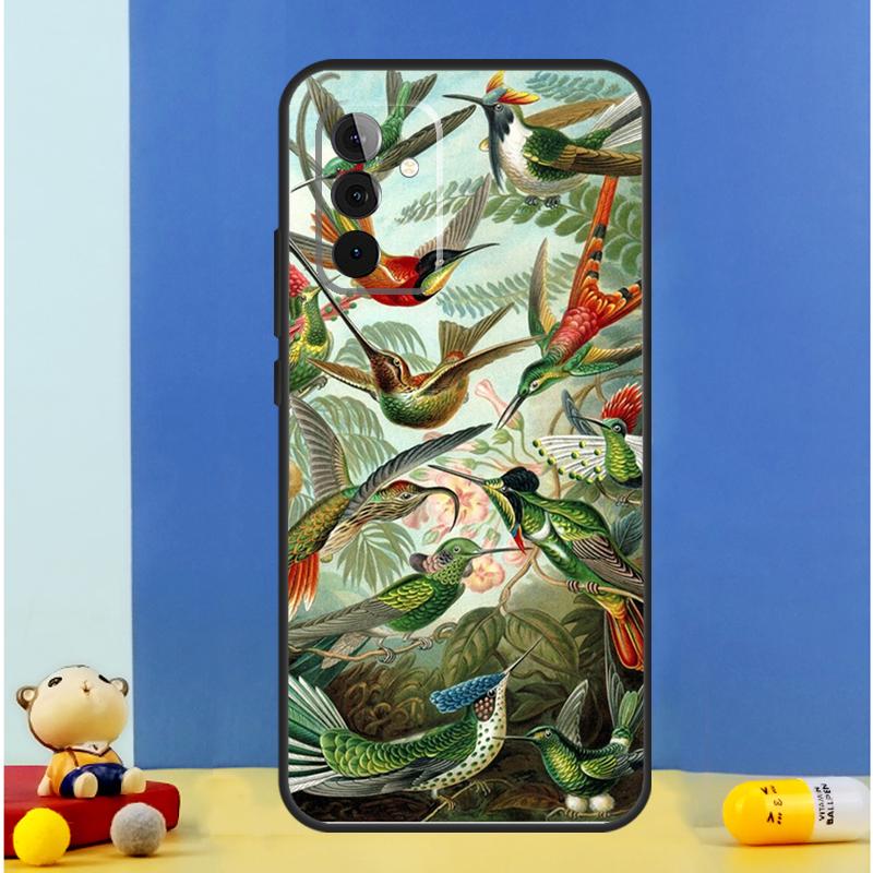 

Hummingbird Case For Samsung Galaxy A54 A34 A14 A13 A23 A33 A53 A52 A32 A12 A56 A36 A16 A15 A35 A55 A17 Samsung A32 4G