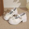 Bow Thick Mary Jane Single Shoes Women's 2025 Summer New Height Increase French Versatile High Heel Small Leather Shoes Women