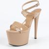 2024 Summer New Pole Dance Shoes 17cm  High Nightclub Runway Model Catwalk High Heels LFD-181-Q24