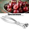 with Lock Fruit Pit Remover Heavy Duty Fruit Corer Cherry Pitter  Cherries/Olives/Dates