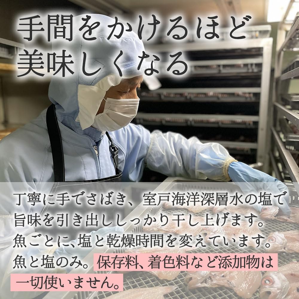 Watanabe Suisan Bijin Dried Fish Assortment, a Popular Frozen Gift Set Perfect for Year-end Presents and Snacks (sample Set)