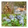 TOYMANY 7PCS Animal Figures Australian Animal Figure Set Realistic Animal Toys Kangaroo Koala Family Popular Animals Toys Birthday Gifts Christmas