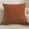 Modern Simple Geometric Luxury Pony Print Pillow Cover Living Room Sofa Bedroom Cushion Back Office Pillow Home Decoration 2024