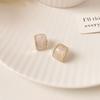 Women's High-End Plain Hoop Earrings: Light Luxury Ear Drops & Studs, Niche Design for Autumn/Winter.