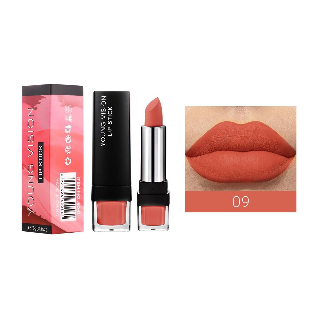 Matte matte 12-kleuren enkele lippenstift Fluweel Niet gemakkelijk te plakken Cup-lippenstift Gemakkelijk te gebruiken make-up lippenstift