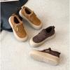 Casual Board Shoes Women's Thick-soled Fluff Buckle Small Man Velvet Warm Winter New Single Shoes Women's Lamb Wool