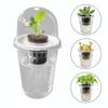 Reusable Seedling Baskets Plastic Material Root View Cups Plastic Cups Succulents Growing