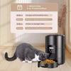 2L APP control WIFI video automatic pet feeder button version automatic cat food dispenser intelligent control pet feeder cat an