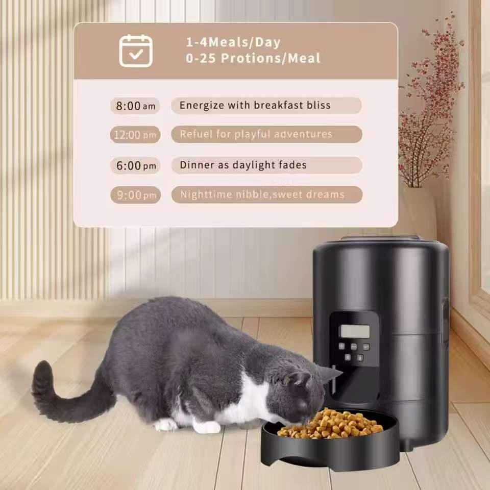 2L APP control WIFI video automatic pet feeder button version automatic cat food dispenser intelligent control pet feeder cat an