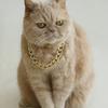 Fashion Dog Gold Chain Collar Pet Accessory For Small And Large Dog Cats Party Wear Social Event Gathering Photography
