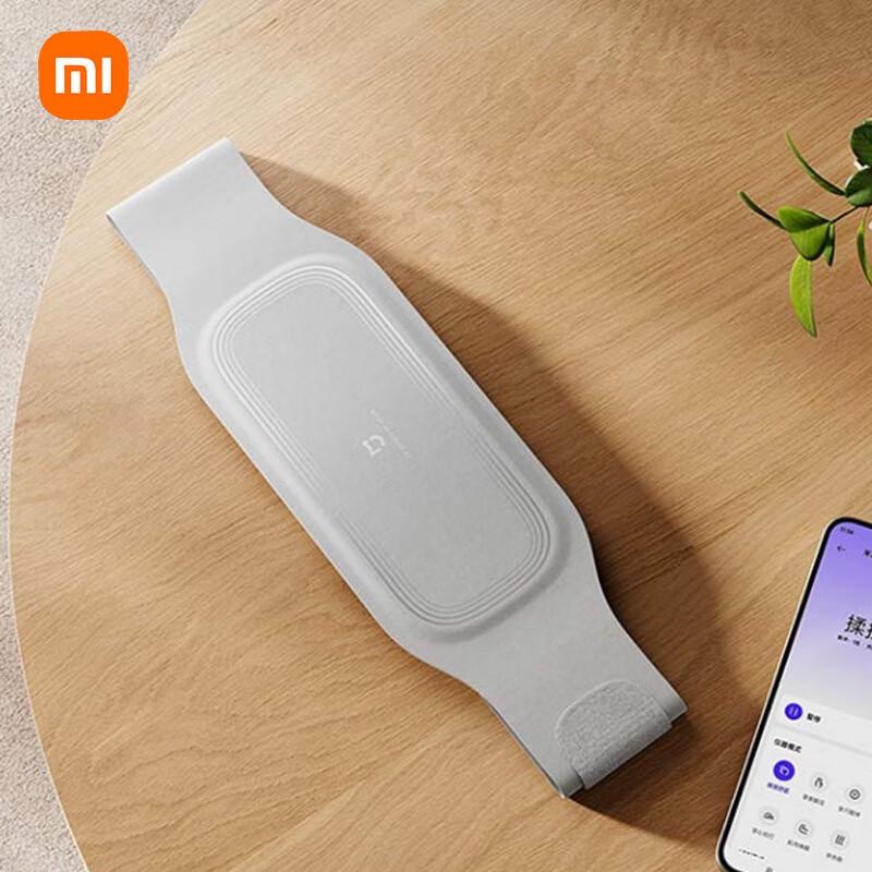 Xiaomi EMS Mid-Low Frequency Waist Massager with Heat