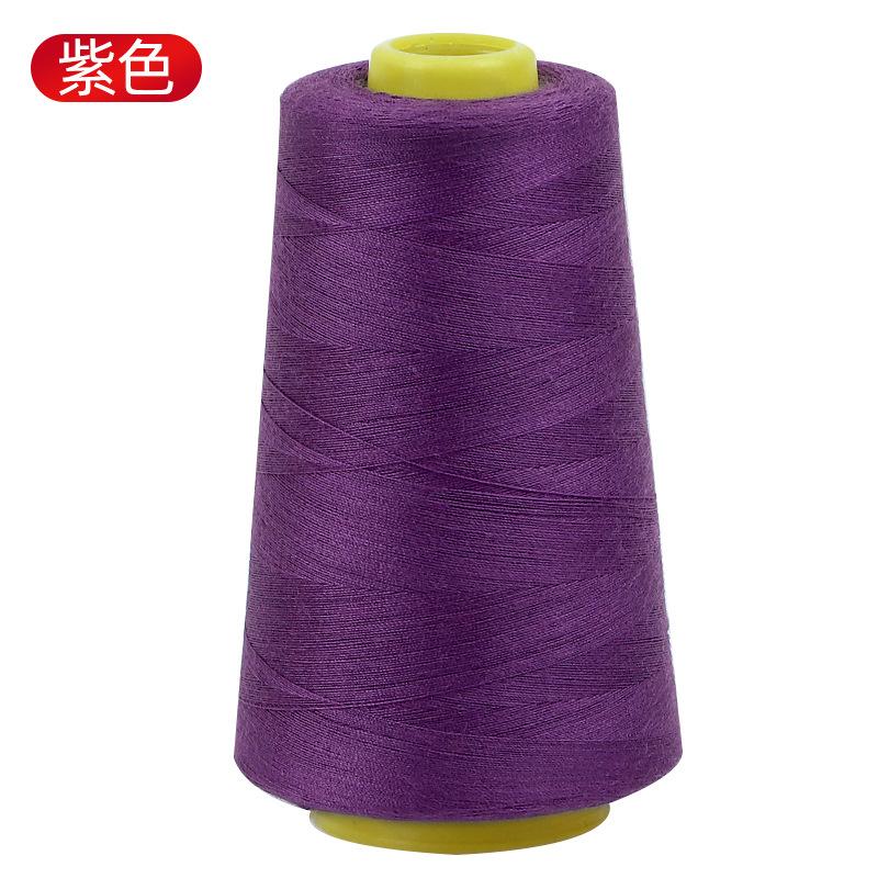 Haushaltsnähgarn Pagodengarn 402 Farbe Nähmaschinengarn Handnähen Kleidungsgarn Flachbettmaschine Polyester Feines Weißes Garn