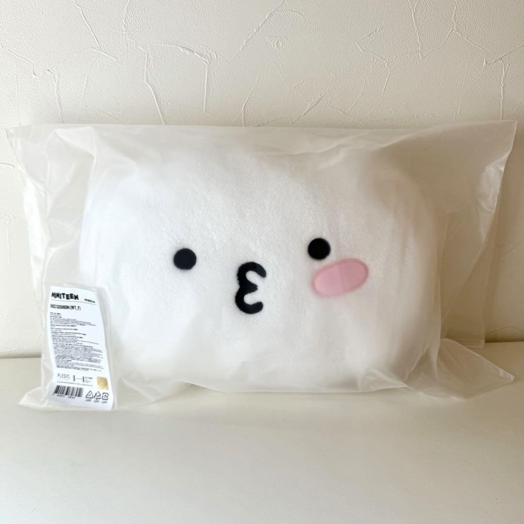 

[USED] Seventeen Miniteen Cushion Woozi