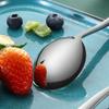 Zhishi 316 Stainless Steel Elegant Round Spoon