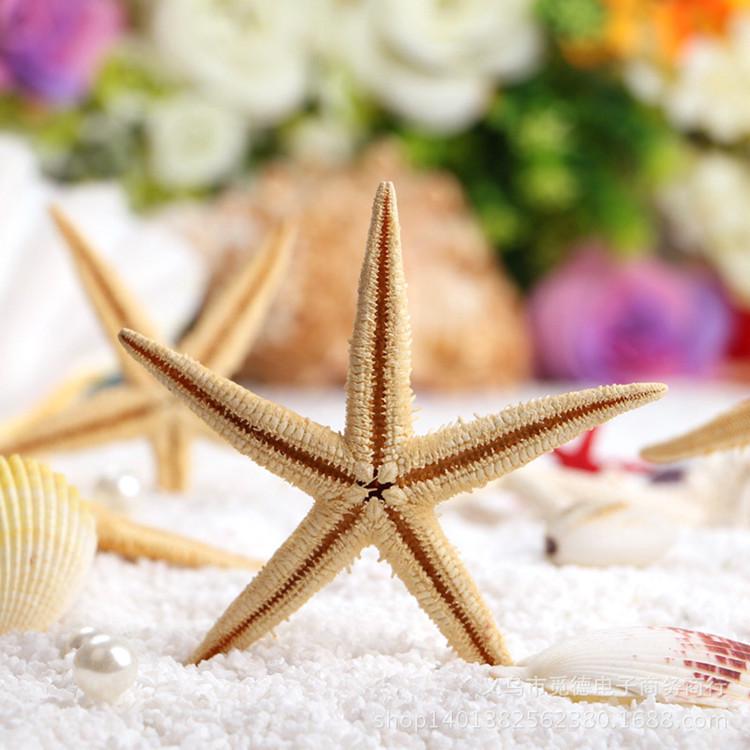 Ocean Series Resin Starfish & Conch Pendant for DIY, Aquariums, Landscaping & Photography