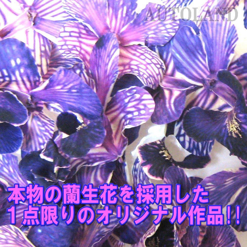 Underwater Flower Shift Knob / Real Orchid / Flower Artwork / 3.5 Inches (9 Cm) / Purple [Autoland/Autoland]