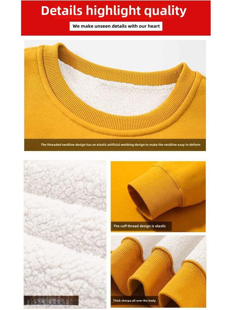 Men's Alpaca Fleece Long-Sleeve Round Neck Sweater: Autumn & Winter Casual Loose Fit