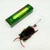 Simulation Cockroach Chewing Gum Creative Novelty Funny Toy Startled DIY Self-installation Halloween Scary Toys for Kid