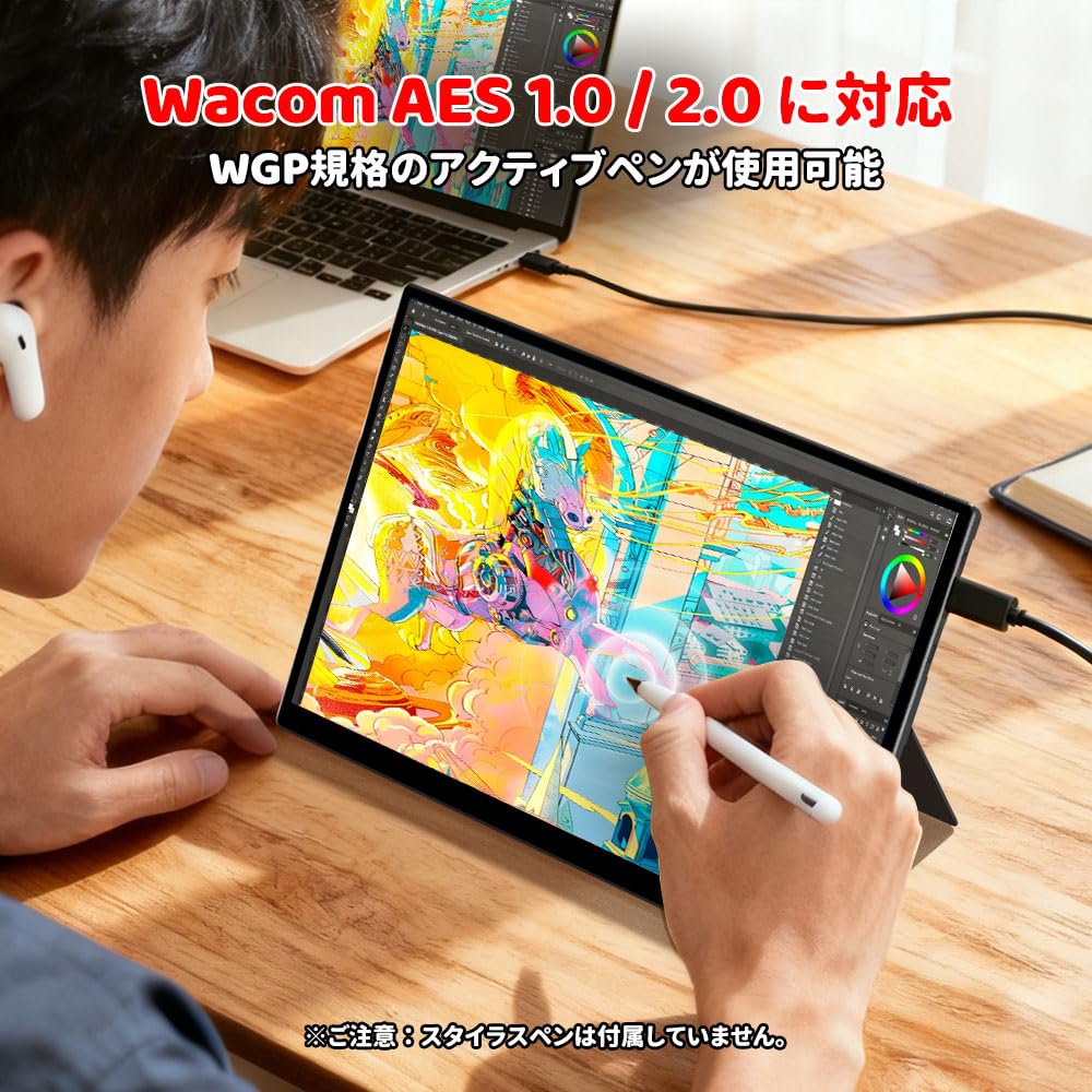 HAILESI S123E Mobile Touchscreen Mobile 1920x1280 Full HD Aspect sRGB Wide Color 300nit HDR OTG IPS Compatible with Switch Monitor, 12.3-inch Display,