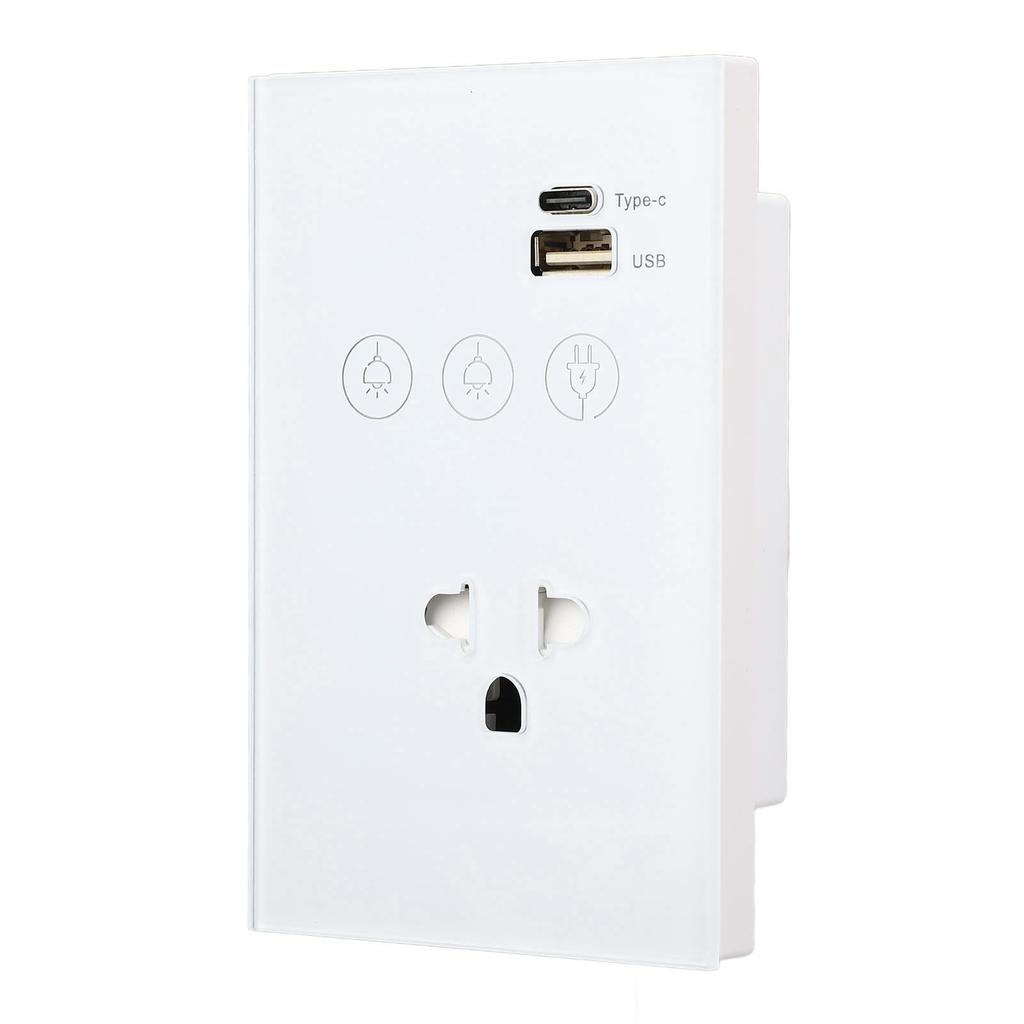 Smart Wall Outlet 2.4G WiFi Touch Light Voice Remote Control Smart Plug with USB and Type C Port for
